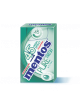 MENTOS Pure Fresh 45-minute Spearmint with Green Tea Box 20 pieces