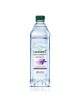 Levissima + Antioxidans mit Zink 12 Flaschen à 60 cl