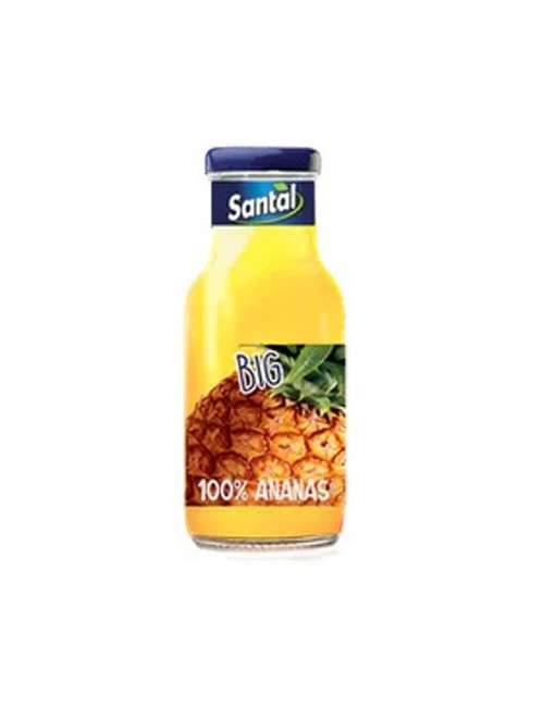 Santal Big 100% Ananas Packung mit 24 Flaschen à 250 ml