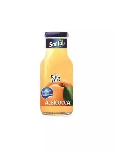 Santal Big Albicocca Confezione da 24 bottiglie da 250 ml