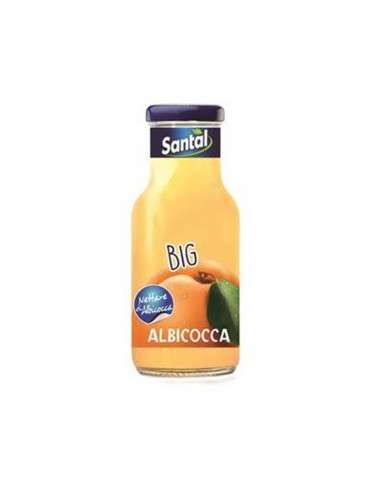 Santal Big Apricot Packung mit 24 Flaschen à 250 ml