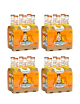 zumo de naranja polara 24 botellas x 27,5 cl