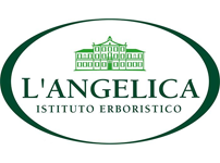 L'angelica