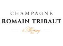 Champagne Romain Tribaut